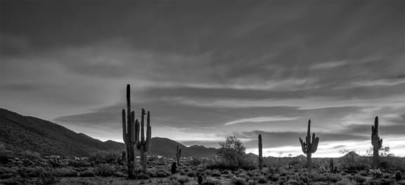 South Mountain near South Summit Estates in Phoenix Arizona