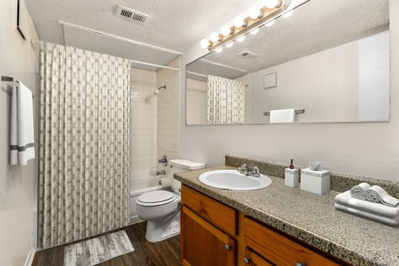 Master bathroom with ample vanity space The Gilmer at 701