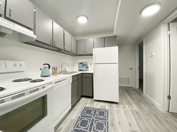 L-shaped kitchen with oven, stove top, range hood, dishwasher, sink, and full-size fridge from left to right.