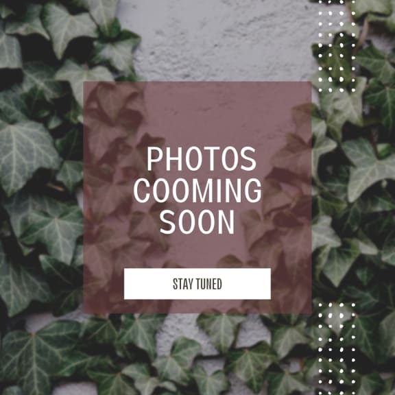 at Melrose Villas, Arizona, 85016