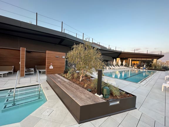 a view of the rooftop pool at the ace hotel los angeles