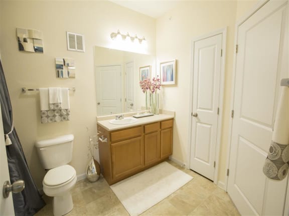 Large Bath with Linen Closet Large Bath with Linen Closet