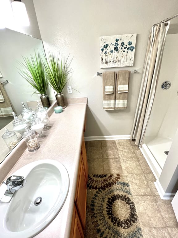 Primary Bath / Walk-In Shower Primary Bath
