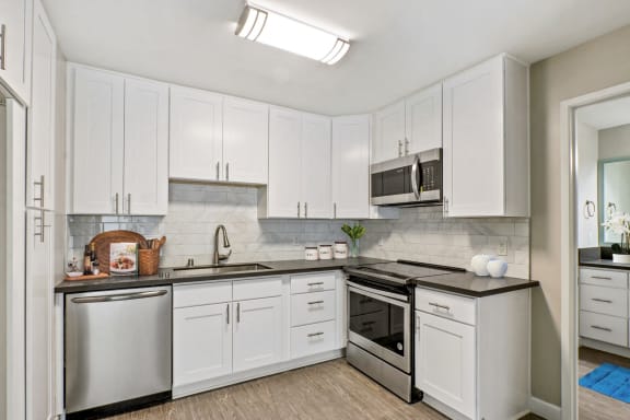 Kitchen with stainless steel dishwasher, electric stove, microwave, gray quartz countertops, tile backsplash