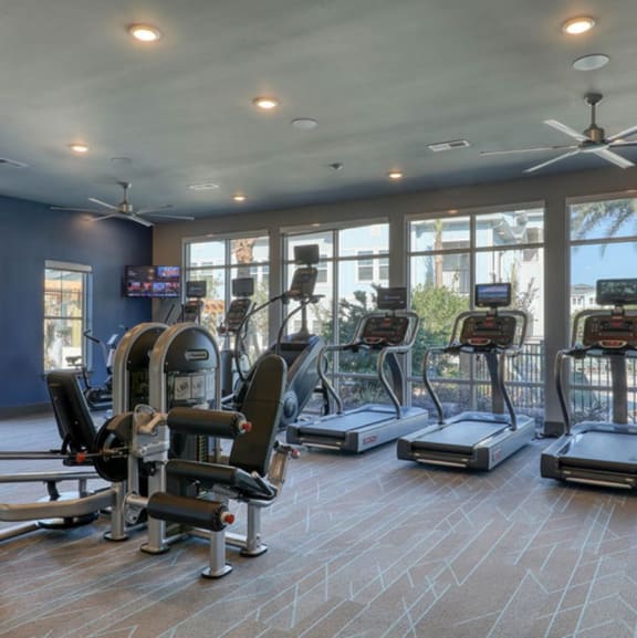 Photos and Video of The Ridley in Jacksonville, FL