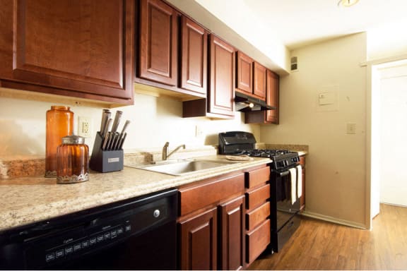 Spacious Kitchen with Pantry Cabinet at Brook View Apartments, Baltimore