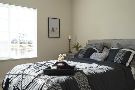 Bedroom with queen size bed and large window