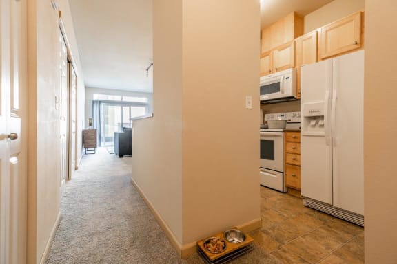 Met245 Apartments Kitchen and Hallway