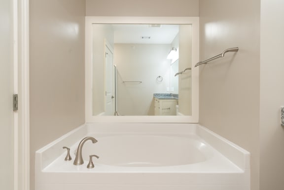 Master Bath Soaking Tub