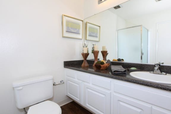 Oakview bathroom picture shows a long countertop in dark brown speckle counter top with a white sink and a toilet. This bathroom has a bathtub and enclosed separate shower, with wood style flooring.