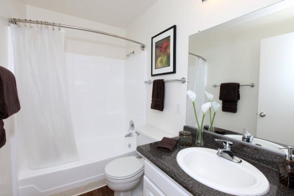 Oakview 2nd bathroom has a toilet. The bathtub and shower are all in one with a shower curtain. Smaller countertop and white sink.