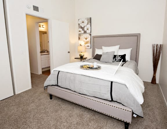 Oakview upper unit bedroom has vaulted ceilings with carpet in the bedroom, a closet, window and vertical blinds. The down stairs units do not have vaulted ceilings.