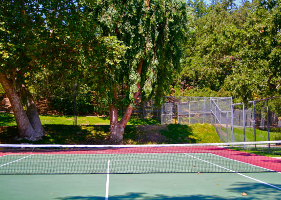 Oakview tennis court is set in lush green surroundings. We have tennis rackets and balls you can borrow from the leasing office.