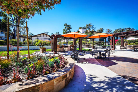 This BBQ area is located near the main pool. It has a large BBQ with 3 large Pergolas with seating. The BBQ area has an island full of drought tolerant landscape.