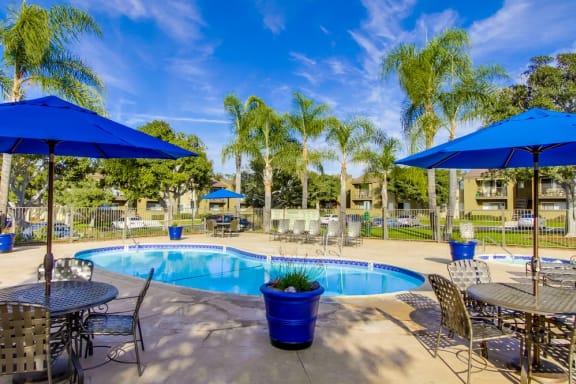 Mesa Village Apartments Lifestyle - Pool Deck & Pool