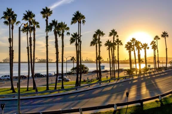 San Pedro Beach Palms at Marine View Apartments, San Pedro, CA