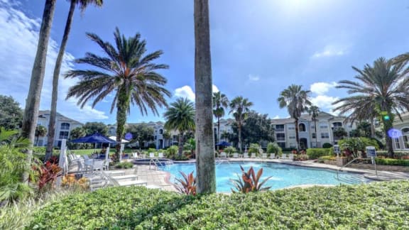 Sparkling Swimming Pool at Tuscany Bay Apartments, Tampa, FL