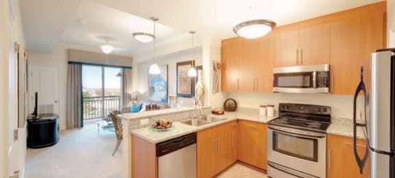 Kitchen with stainless steel appliances; open to living room; sliding door to exterior