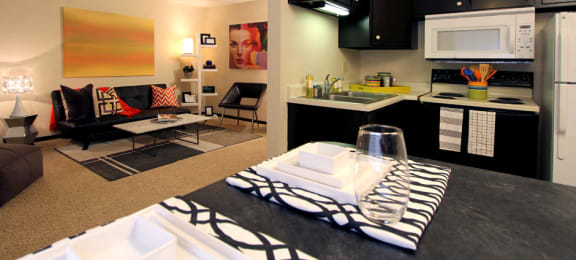Apartments in central Omaha with spacious layout, spacious living room, and black kitchen cabinets at Kensington Woods Apartments in Omaha, Nebraska
