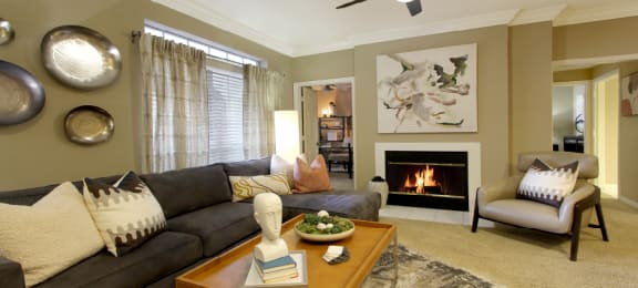 Woodburning Fireplaces with Glass Doors