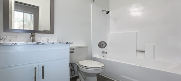 Bathroom shower and vanity