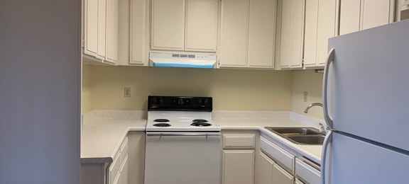 Full kitchen view