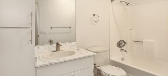 Bathroom shower, vanity, and toilet