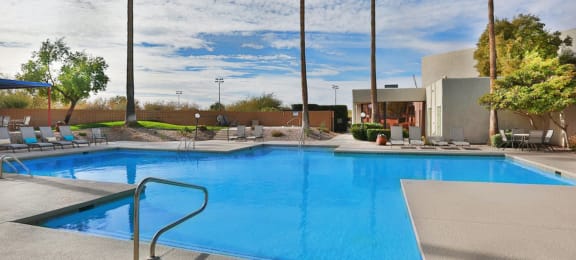 Springhill pool view with tall trees around and lounging area near 