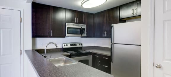Stainless Steel Appliances With Dark Wood Cabinets  In Kitchen at Ponside at Littleton Apartments.