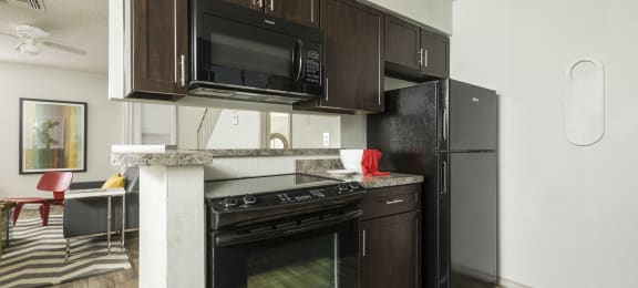 Upgraded Kitchen with Black Appliances