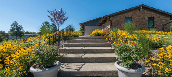 Stairs leading to building with yellow flowers