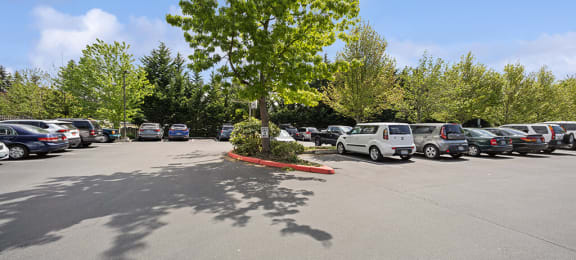 Ballinger Court Senior Apartments Edmonds Apartments for Rent