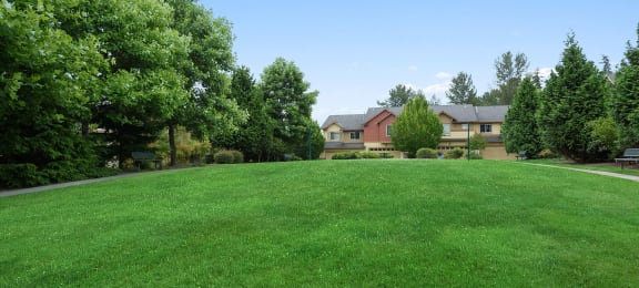 Alderwood Court Senior Apartments Lynwood Apartments for Rent