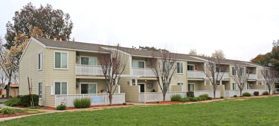 Row of buildings and grass l Park Brentwood CA Apartments for rent