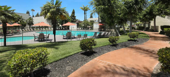 Pool with lounge chairs l Tara Hill Apartments in Anaheim, CA