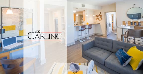 The Carling Apartments | Jacksonville, FL