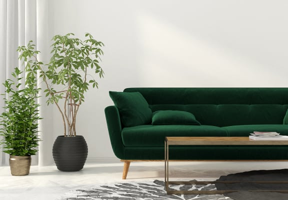 Green Sofa stock image