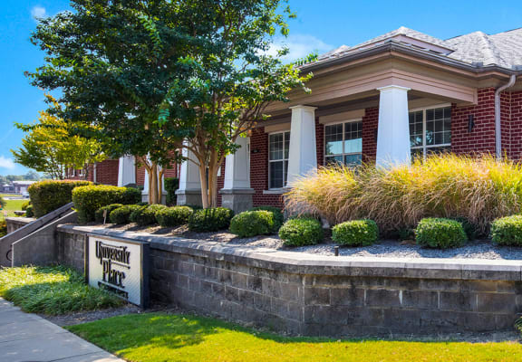 the local apartments memphis