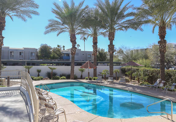 pool, pool patio at Villa Contento Apartments in Scottsdale, AZ