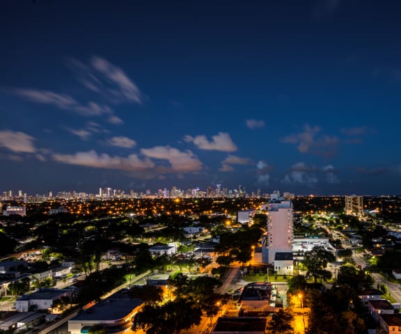Miami Views