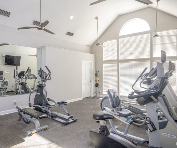 Fitness Center with weigh bench, elliptical, bike and treadmills with TV mounted on the wall.  Also shows are medicine balls and large windows with natural light.