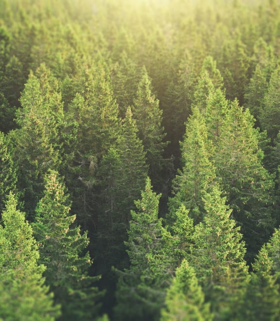 Glisan Commons Apartments in Portland, OR