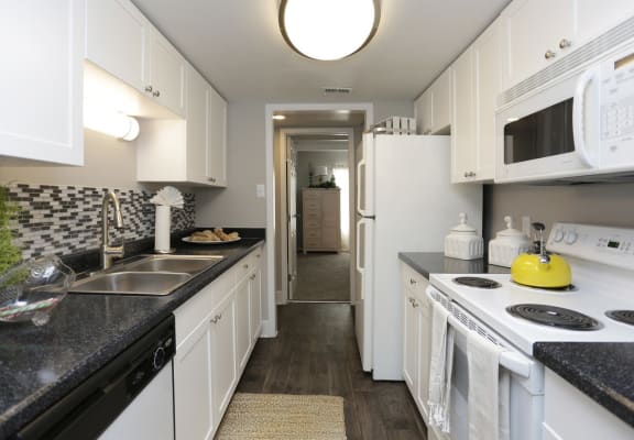 Updated, Fully Equipped Kitchen at Bonterra Lakeside Apartments