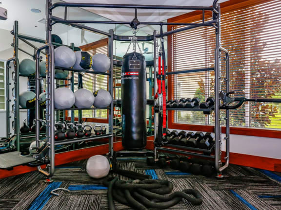 Thumbnail 36 of 39 - Modern Fitness Center at Oasis Shingle Creek in Kissimmee, FL