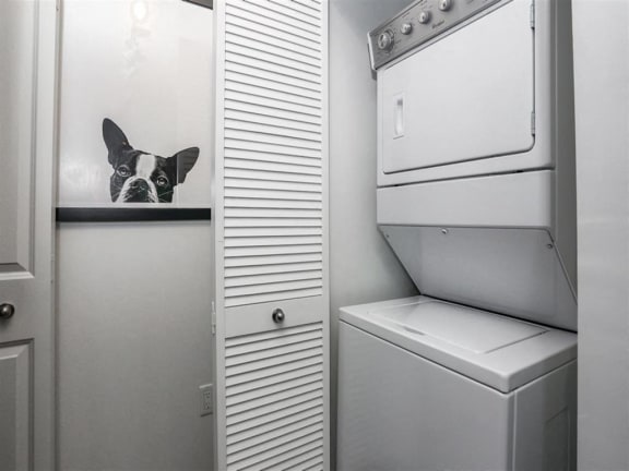 Thumbnail 23 of 39 - In-home washer &amp; dryer at Oasis Shingle Creek in Kissimmee, FL