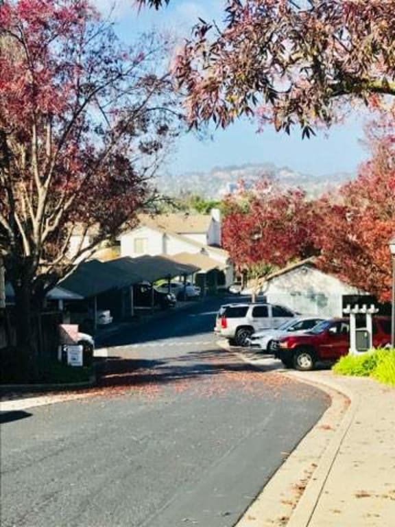Ridgecrest Apartments Hayward