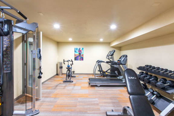 Indoor gym with treadmill, elliptical, stationary bike, cable station, free weights, and a bench.