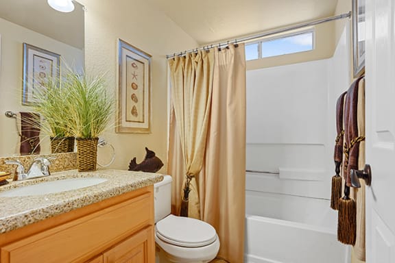Luxurious Bathroom Luxurious Bathroom at Clayton Creek Apartments, Concord