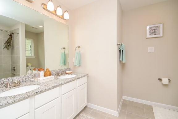 Bathroom With Bathtub Bathroom With Bathtub at Pradera Oaks, Bonney, TX