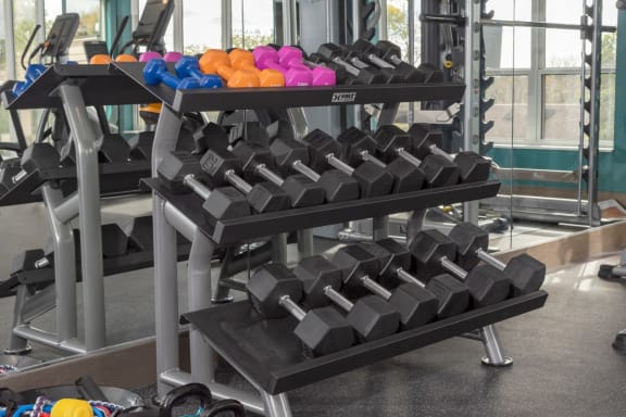 Free Weights In Gym at Grove80 Apartments, Cottage Grove